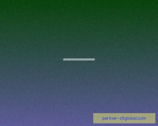 冒险岛尖兵职业属性加点详细指南与最佳搭配策略分析